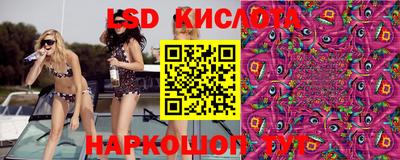 гидра Кулебаки