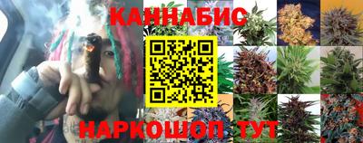 гидра Кулебаки