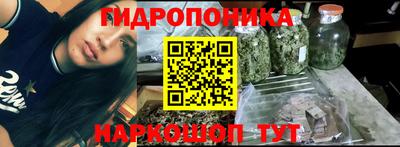 гидра Кулебаки