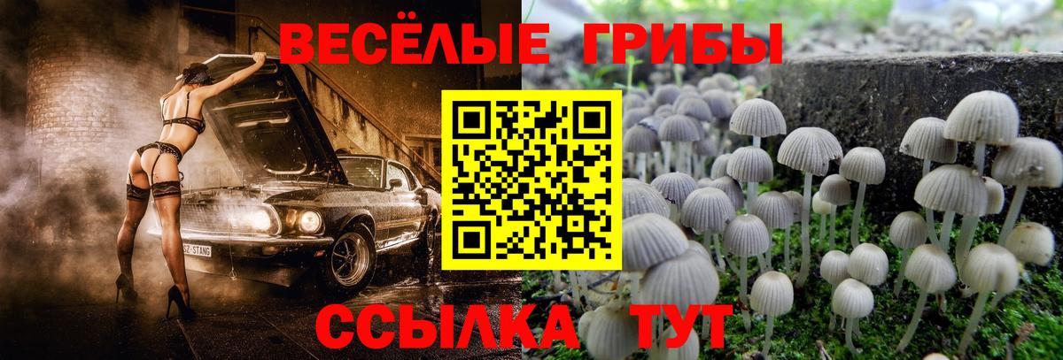 Казань  Псилоцибиновые грибы мицелий  Вход с VPN 