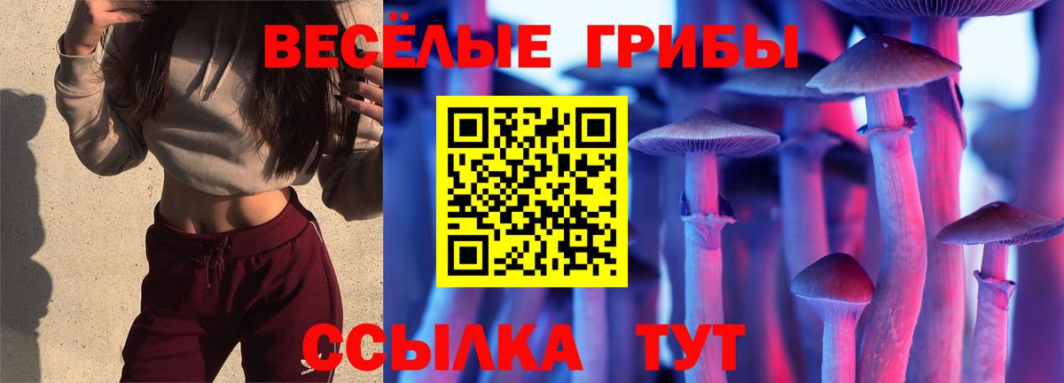Галлюциногенные грибы Psilocybine cubensis Казань